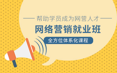 天津网络营销策划培训
