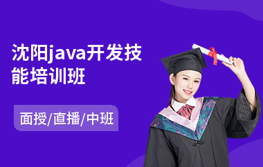 沈阳java开发技能培训班(以直播,面授中班教学)