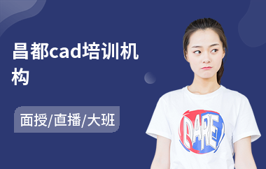 昌都cad培训机构