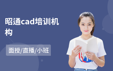 昭通cad培训机构