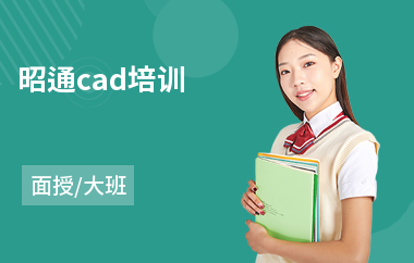 昭通cad培训