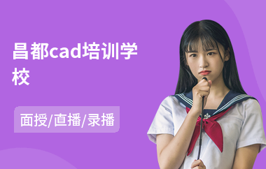 昌都cad培训学校