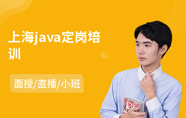 上海java定岗培训