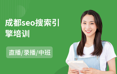 成都seo搜索引擎培训(seo项目培训价格)