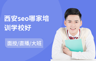 西安seo哪家培训学校好(专业seo系统培训班)