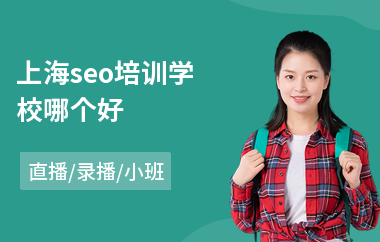 上海seo培训学校哪个好(seo网站优化工程师培训)