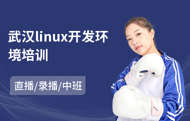 武汉linux开发环境培训(linux架构师培训课程)