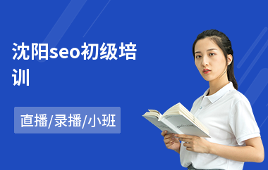 沈阳seo初级培训(seo培训机构哪个好)