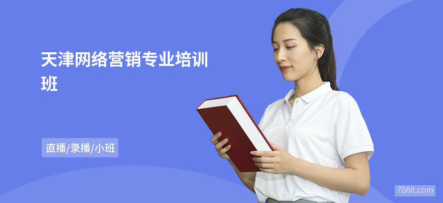 天津网络营销专业培训班
