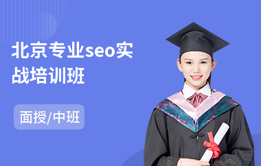 北京专业seo实战培训班(seo培训学校价格)