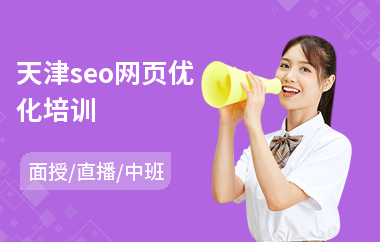 天津seo网页优化培训(seo培训学校价格)