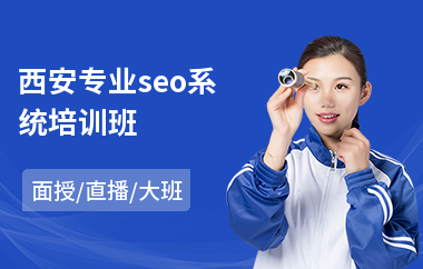 西安专业seo系统培训班(seo技术培训班)