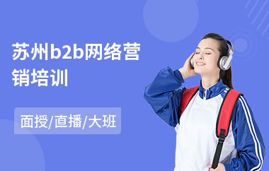 苏州b2b网络营销培训(学网络营销培训学校)