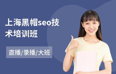 上海黑帽seo技术培训班(seo技术培训)