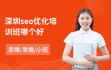 深圳seo优化培训班哪个好(seo思维培训学校)