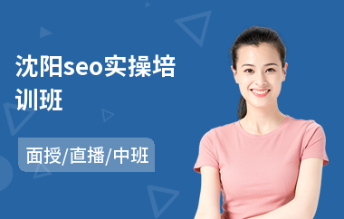 沈阳seo实操培训班(seo排名优化培训价格)