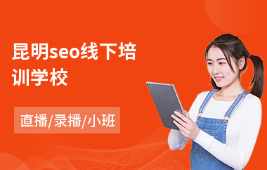 昆明seo线下培训学校(seo优化实操培训)