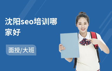 沈阳seo培训哪家好(网站优化seo培训学校)