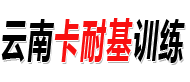 云南卡耐基演讲口才培训logo