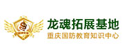 重庆龙魂训练营logo